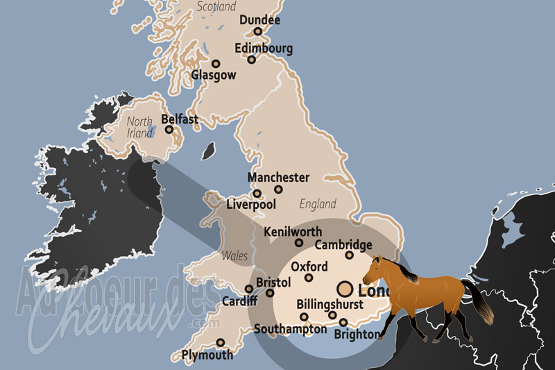 Billingshurst, un maillon de la ceinture �questre du west sussex