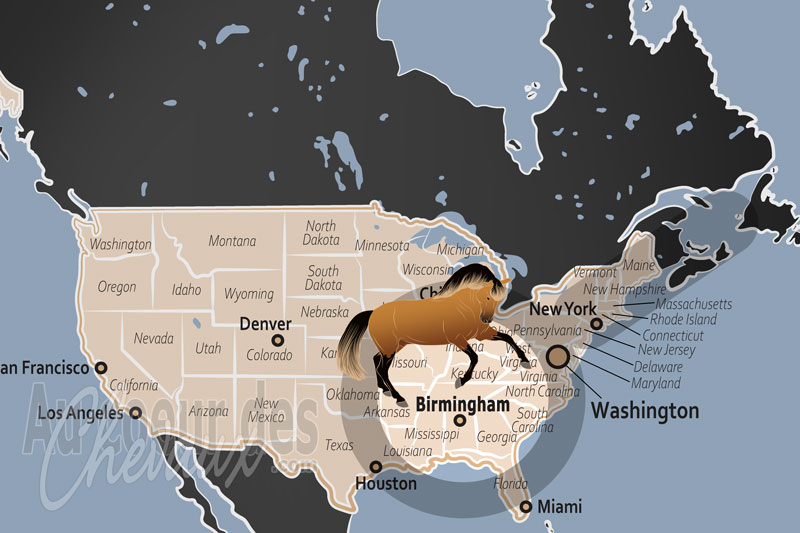 La localisation de Birmingham aux �tats Unis