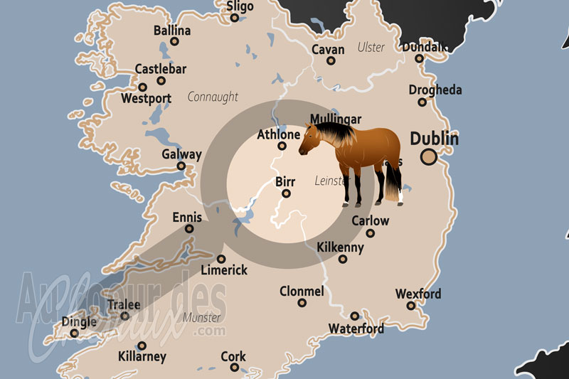 Birr, un bastion du cheval de sport et de l'h�ritage �questre des midlands