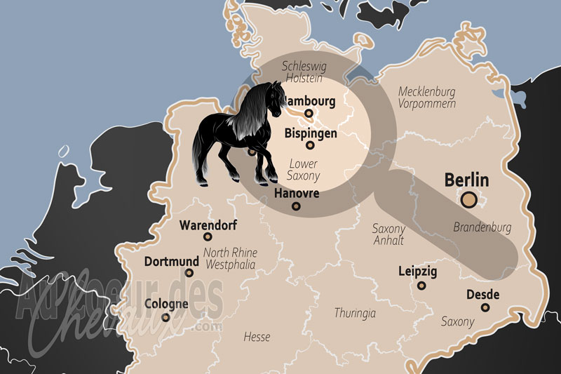 La localisation de Bispingen en Allemagne