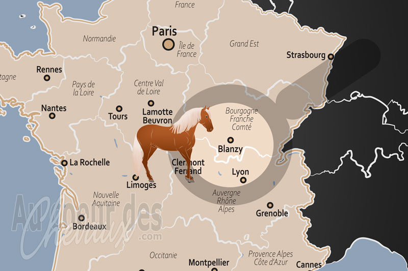 Blanzy, de l'h�ritage minier � la dynamisation de l'�quitation de loisir en bourgogne