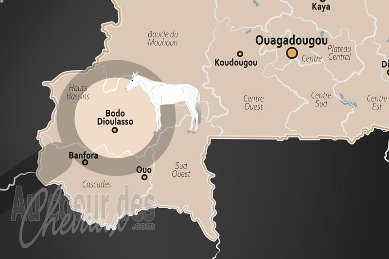 La localisation de Bobo Dioulasso au Burkina Faso