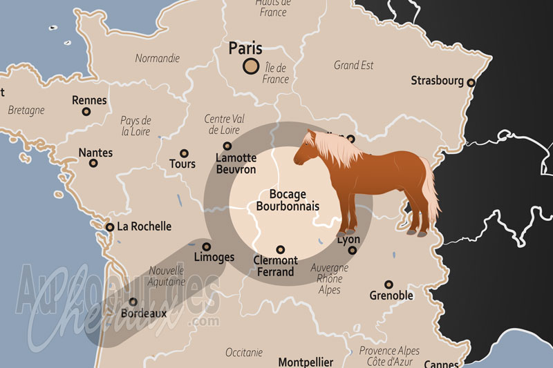 Le Bocage Bourbonnais, terre d'�levage d'excellence et berceau de l'aqps