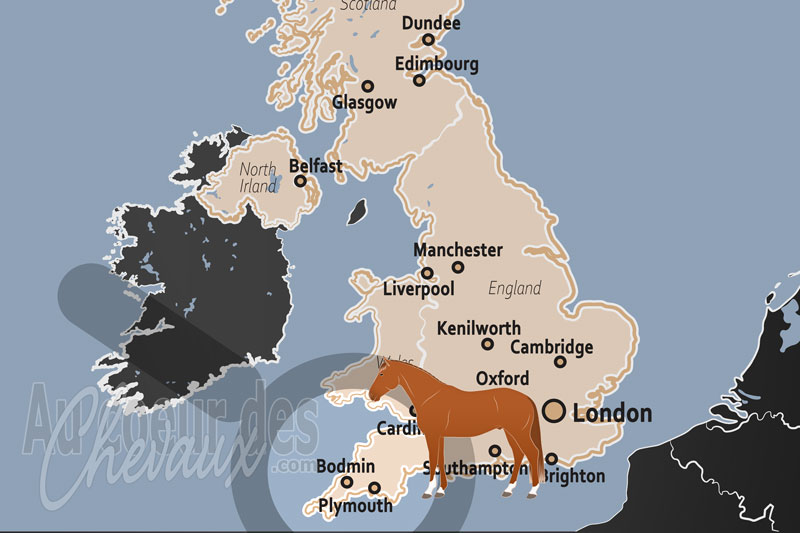 Bodmin, le sanctuaire des maures et l'h�ritage du poney cornouaillais
