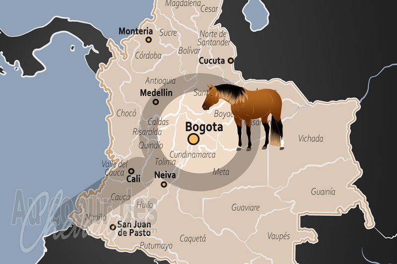 Bogot�, �picentre de l'�l�gance du paso fino et tradition �questre d'altitude