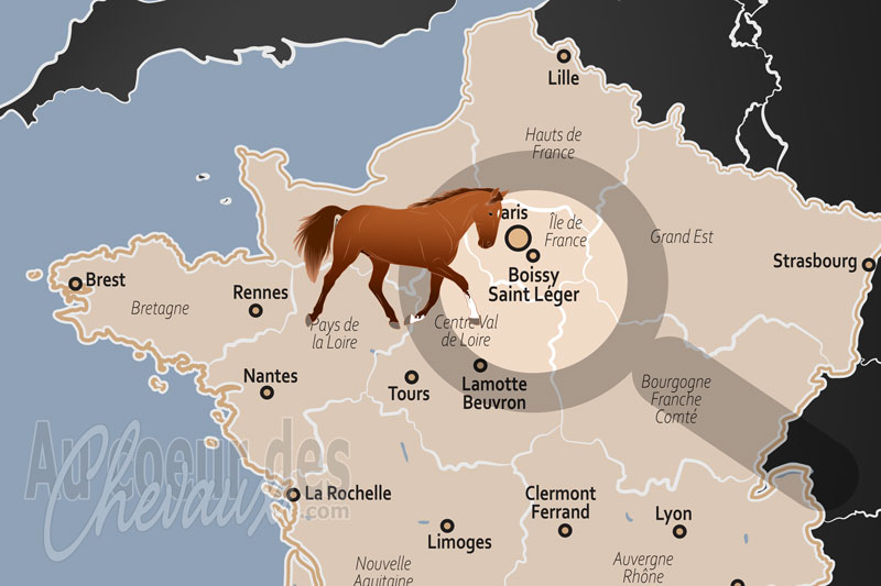 Boissy Saint L�ger, la capitale europ�enne du trot et l'�crin de grosbois