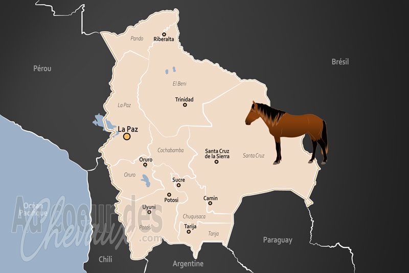 La Bolivie, entre cimes des andes et plaines du chaco