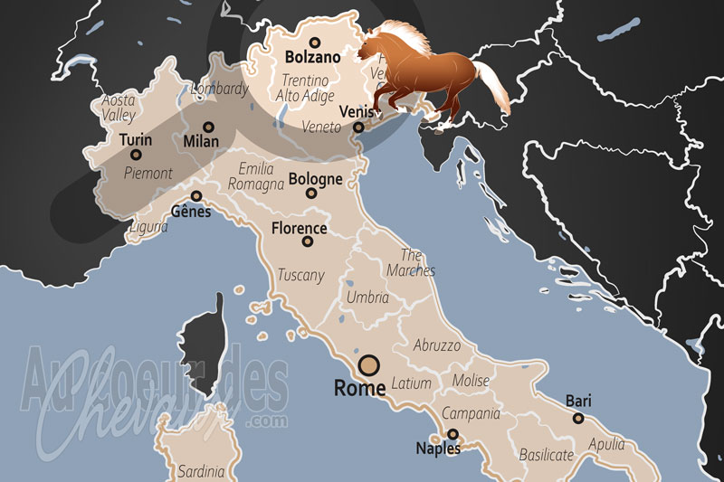 Bolzano, berceau du haflinger et carrefour de l'�quitation alpine