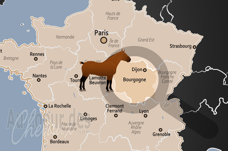 La localisation dans le pays de la R�gion Historique de Bourgogne en France