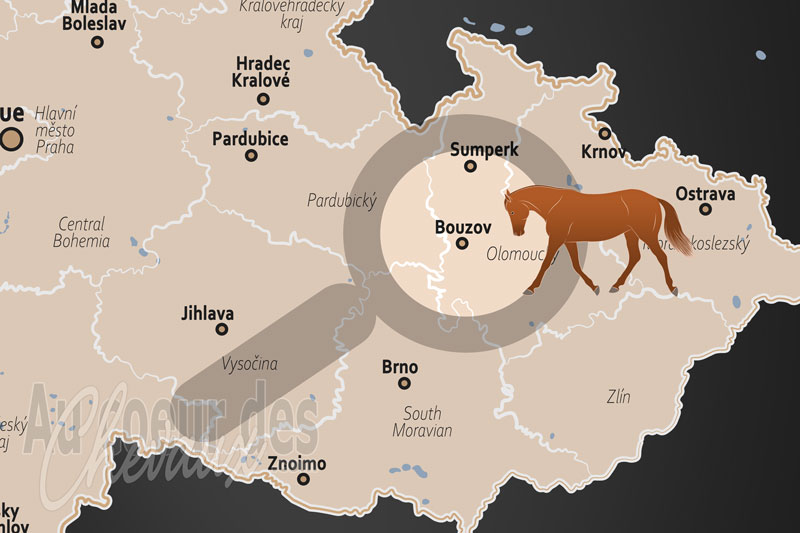 La localisation de Bouzov en Tch�quie