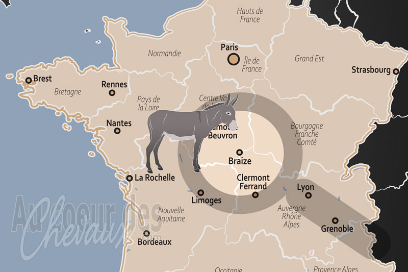 Braize, un p�le d'excellence �questre au c?ur du bourbonnais et de la for�t de tron�ais