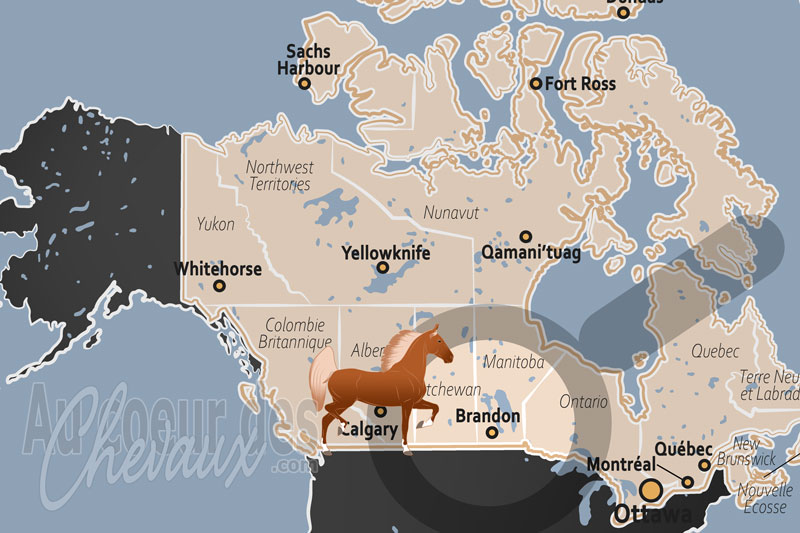 La localisation de Brandon au Canada