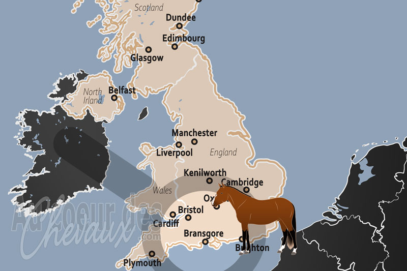 Bransgore, porte d'entr�e �questre de la new forest et terroir du poney sauvage