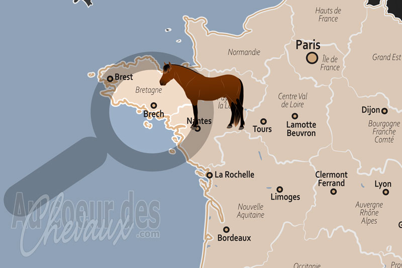 La localisation de Brech en France