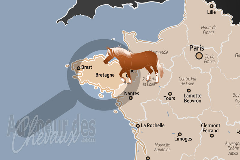 La localisation dans le pays de la Bretagne en France