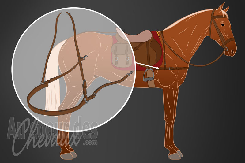 La Bricole pour le cheval, stabilit� du harnachement et libert� de mouvement