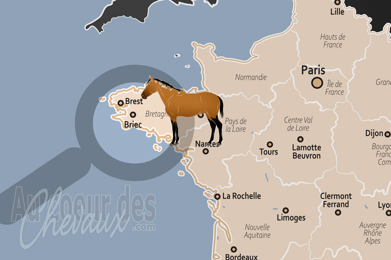 La localisation de Briec en France