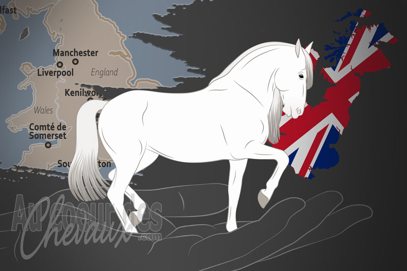 L'Association Britannique pour le Pure Race Espagnole, un organisme de gestion du pure race espagnole au royaume uni