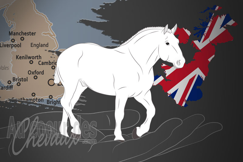 La Soci�t� Britannique du Cheval Percheron, un organisme de gestion du percheron au royaume uni