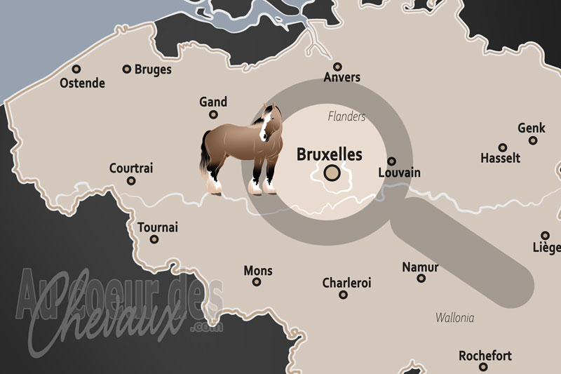 Bruxelles, l'�quid� au c?ur de la capitale de l'europe, entre tradition et �cologie urbaine