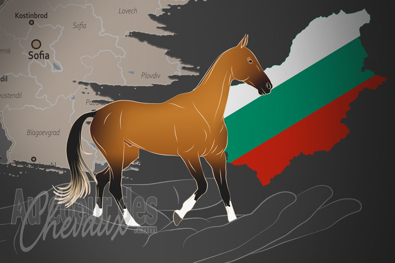 La Soci�t� Bulgare des Amis du Cheval Akhal T�k�, un organisme qui g�re le  cheval akhal t�k� en bulgarie
