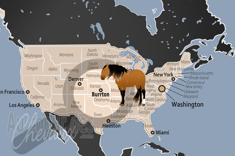 La localisation de Burrton aux �tats Unis
