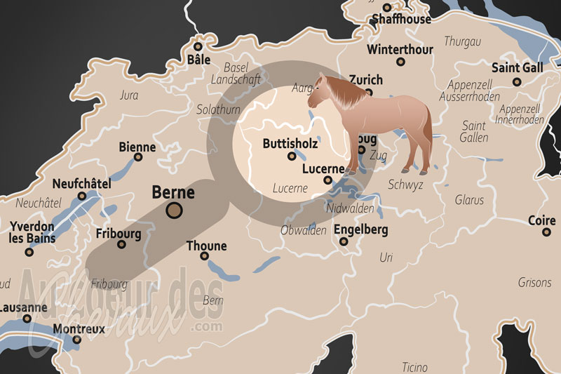 La localisation de Buttisholz en Suisse