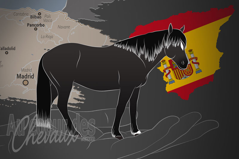 La Pancorbo pour le Cheval Losina, un organisme de gestion du losina en espagne
