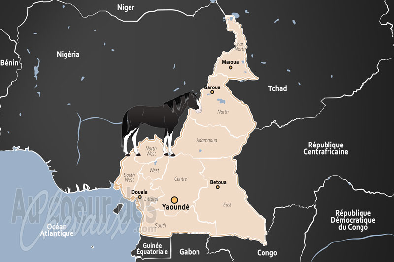 Le Cameroun, entre prestige des lamidats et d�fis tropicaux