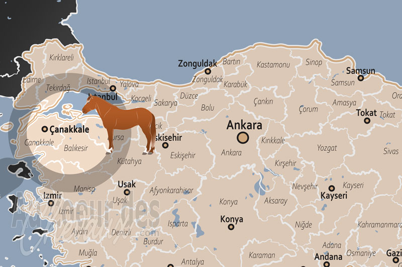 �anakkale, entre mythe troyen et tradition �questre �g�enne