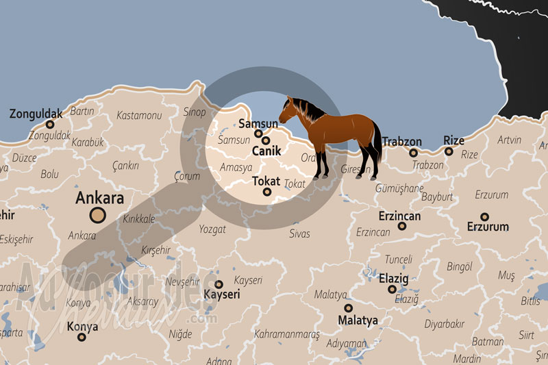 Canik, berceau de l'�quid� des montagnes pontiques