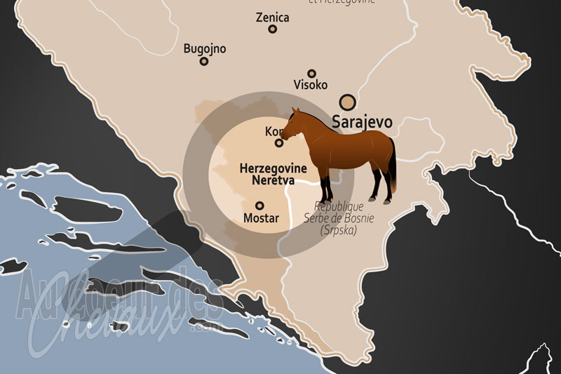 Le Canton d'Herz�govine Neretva, r�silience et tradition du cheval en terre karstique
