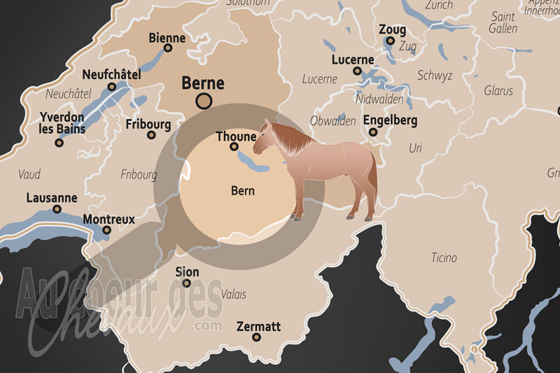 Le Canton de Berne, �picentre de la culture �questre f�d�rale et de la tradition rurale