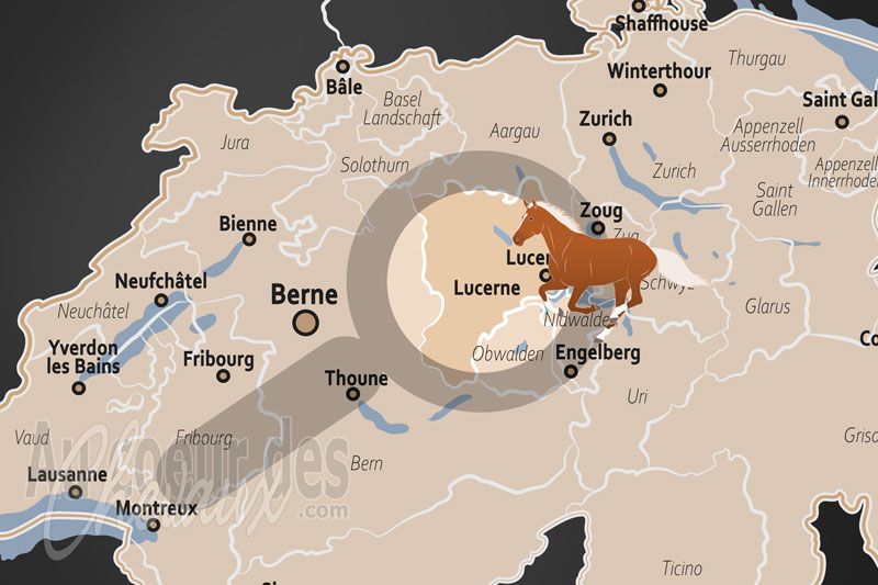 Le Canton de Lucerne, un carrefour majeur de l'�conomie et du sport �questre