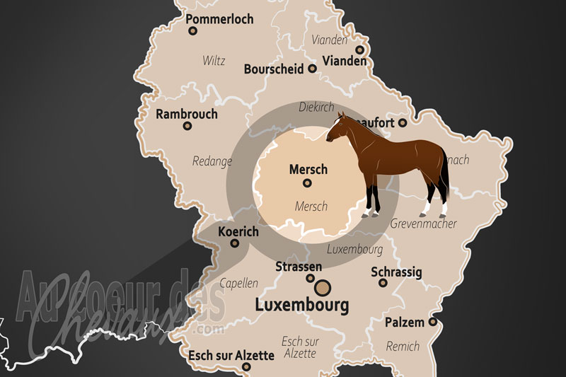 Le Canton de Mersch, �picentre institutionnel et carrefour de l'�levage �quin