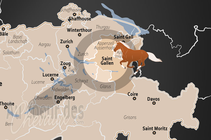 Le Canton de Saint Gall, entre �lite internationale et traditions de l'est helv�tique
