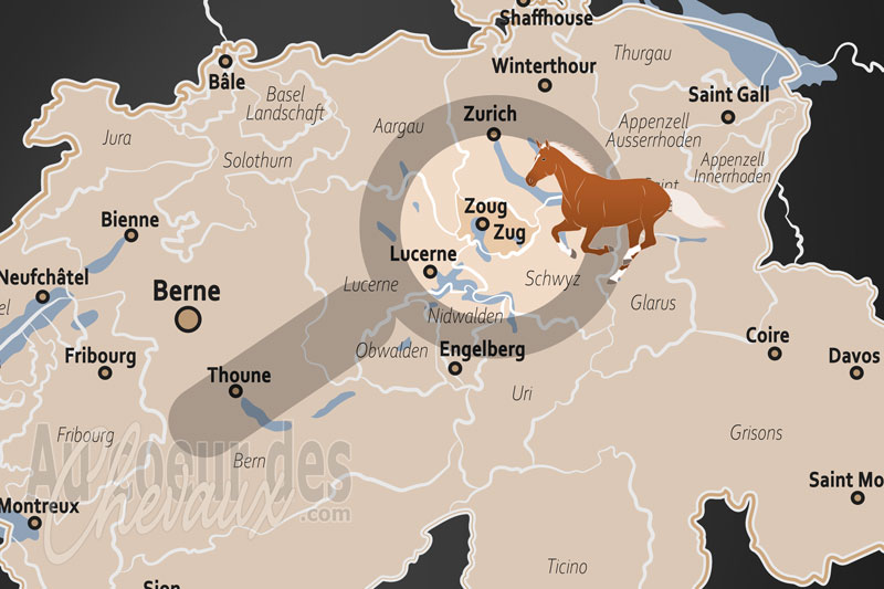 Le Canton de Zoug, excellence �questre et art de vivre au c?ur de la � crypto valley �