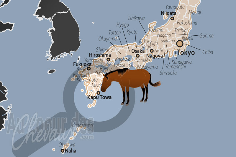 Le Cap Toi, le sanctuaire sauvage o� le japon s'�veille au rythme des misaki-uma