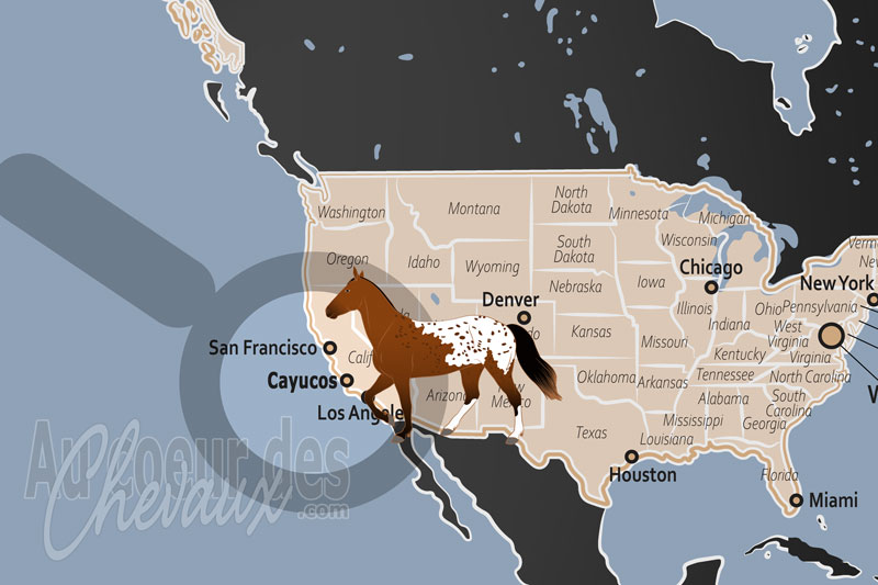 Cayucos, la rencontre de la culture cowboy et de l'�quitation littorale