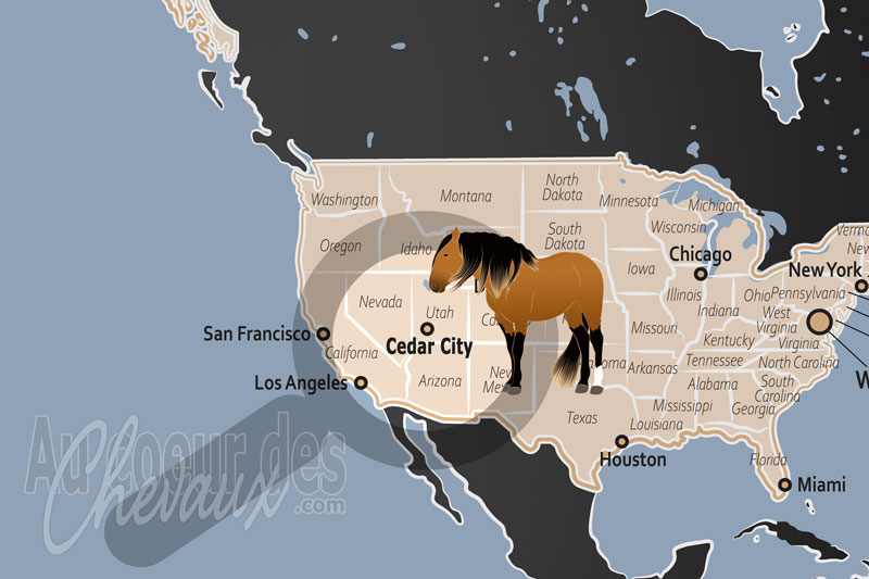 Cedar City, carrefour de l'�quitation de montagne et de la gestion des mustangs