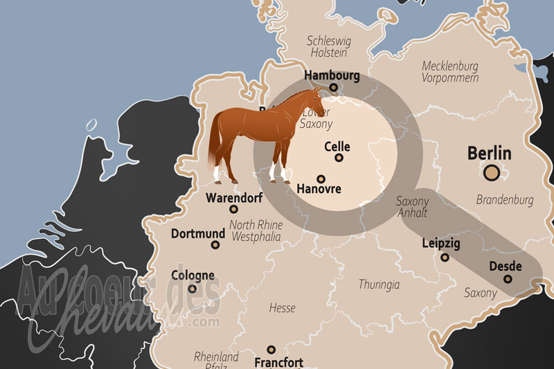 Celle, la capitale historique et g�n�tique du cheval hanovrien