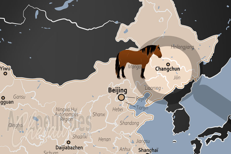 Changchun, carrefour de l'excellence �quine en mandchourie