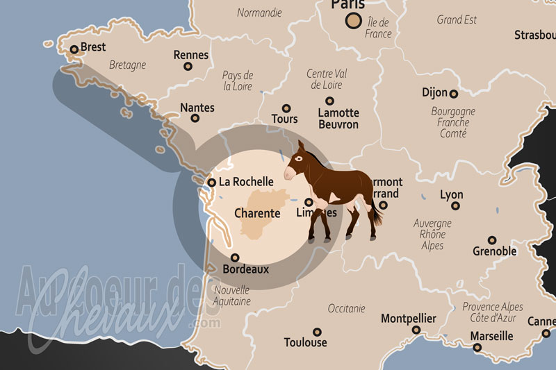 Le D�partement de la Charente, un terroir de transition entre tradition de trait et excellence sportive