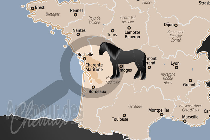 Le D�partement de la Charente Maritime, berceau de races patrimoniales et p�le d'excellence littoral