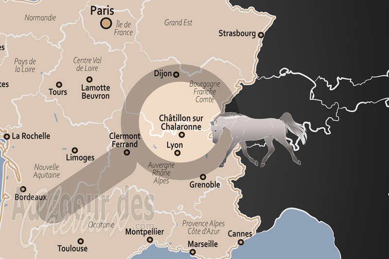 La localisation de Ch�tillon sur Chalaronne en France