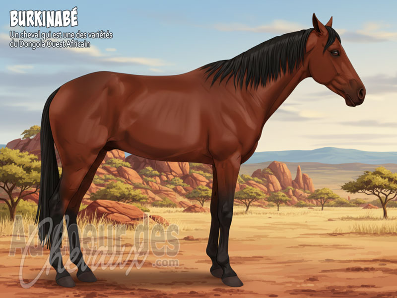 Le Cheval Burkinab�, l'�me de la savane et le destin des empires