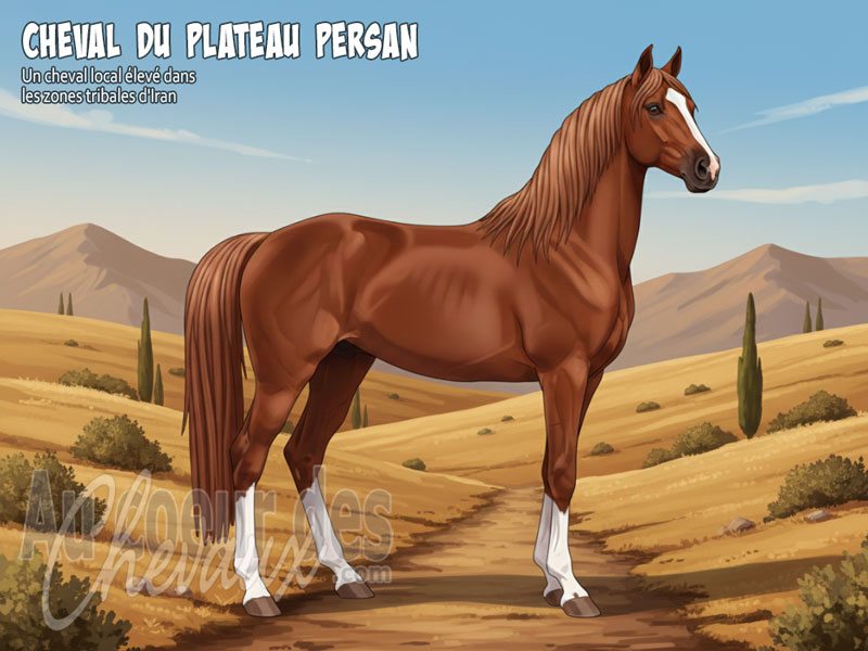 Le Cheval du Plateau Persan, un h�ritage mill�naire au c?ur de l'iran
