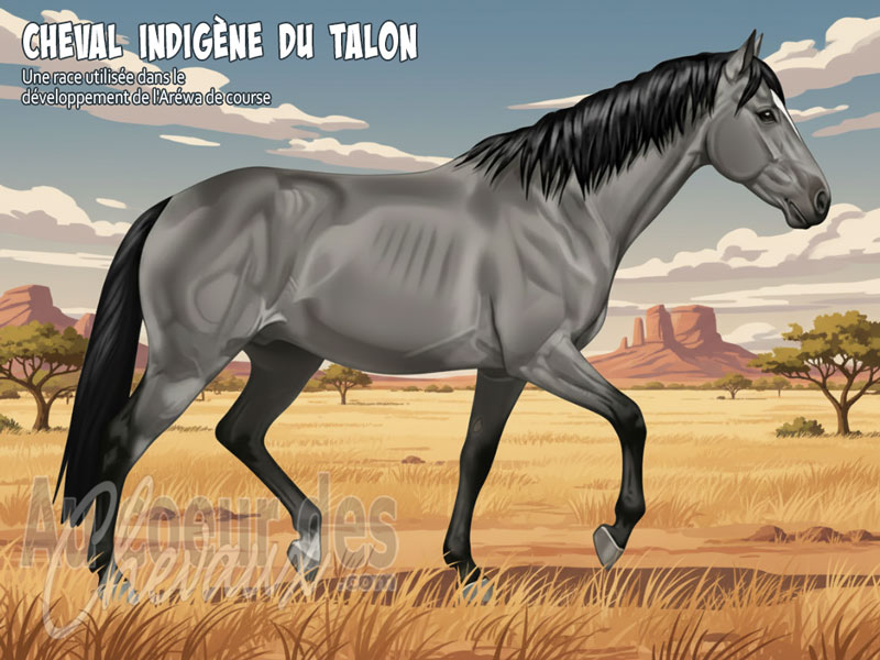 Le Cheval Indig�ne du Talon, l'h�ritage �questre des vall�es du niger