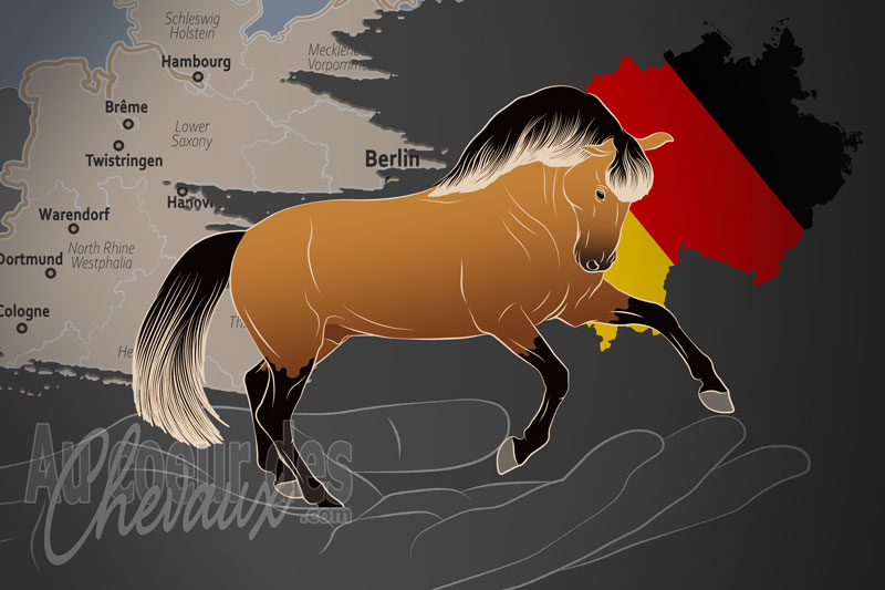 L'Association Allemande du Cheval Lusitanien e.V., une organisation qui g�re le cheval lusitanien en allemagne