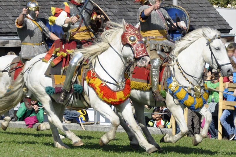 Des chevaux au galop pendant un spectacle de chevalerie